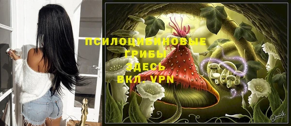 индика Армянск